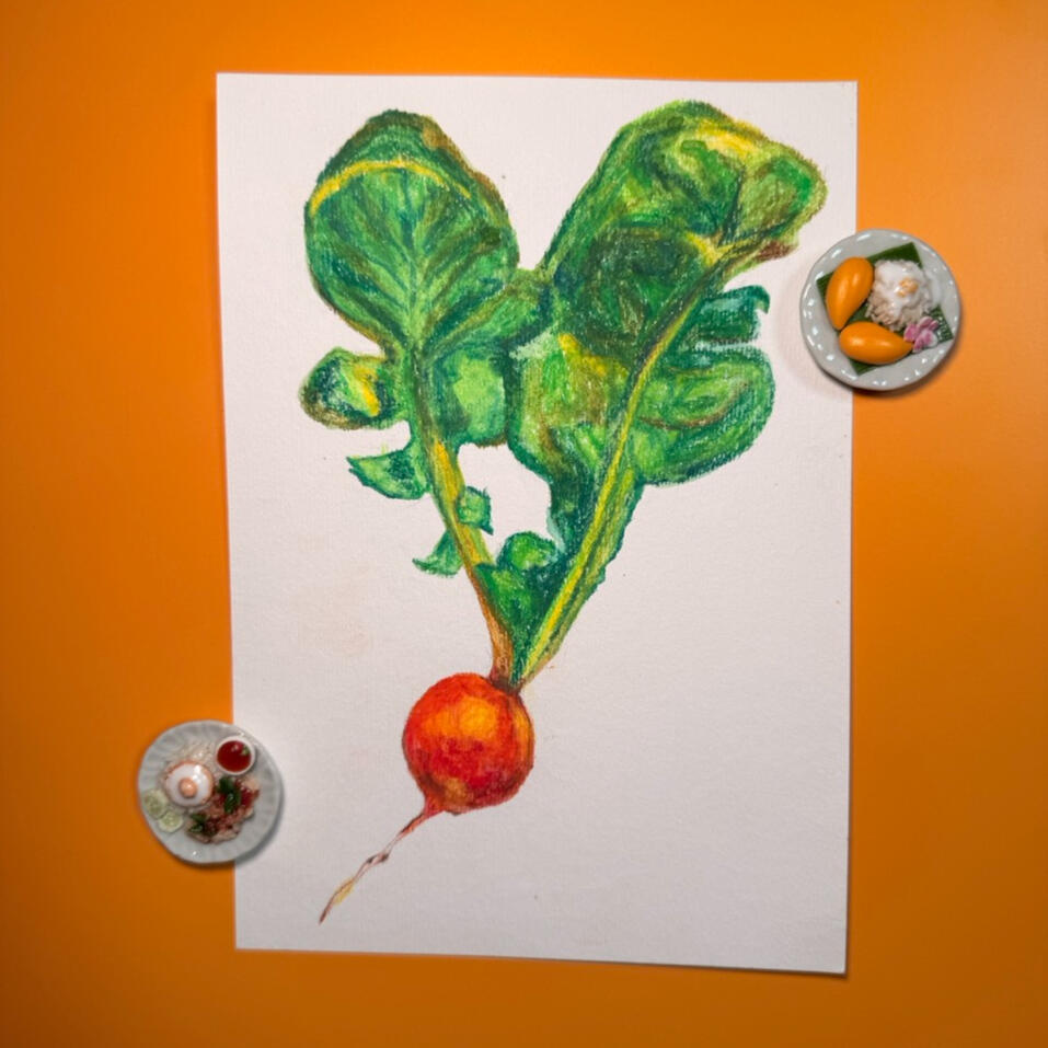 Radish, Oil Pastel on Paper