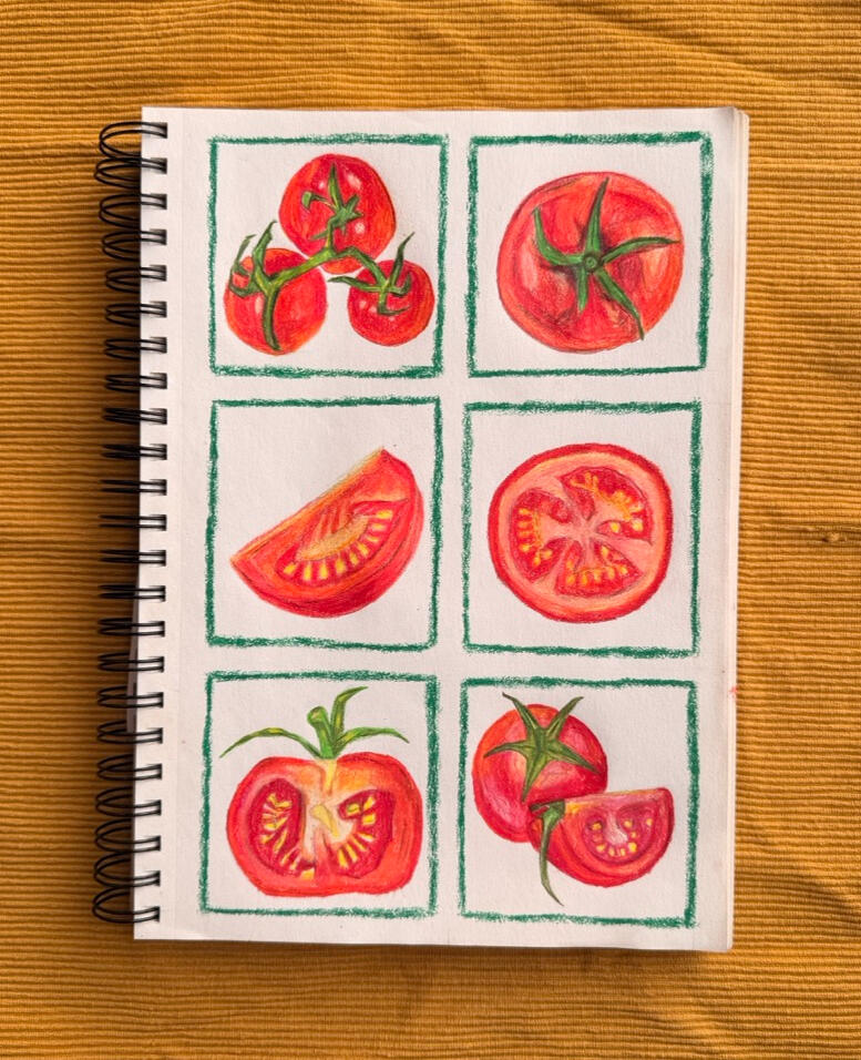 Tomatos, Pencil and Pastel on Paper